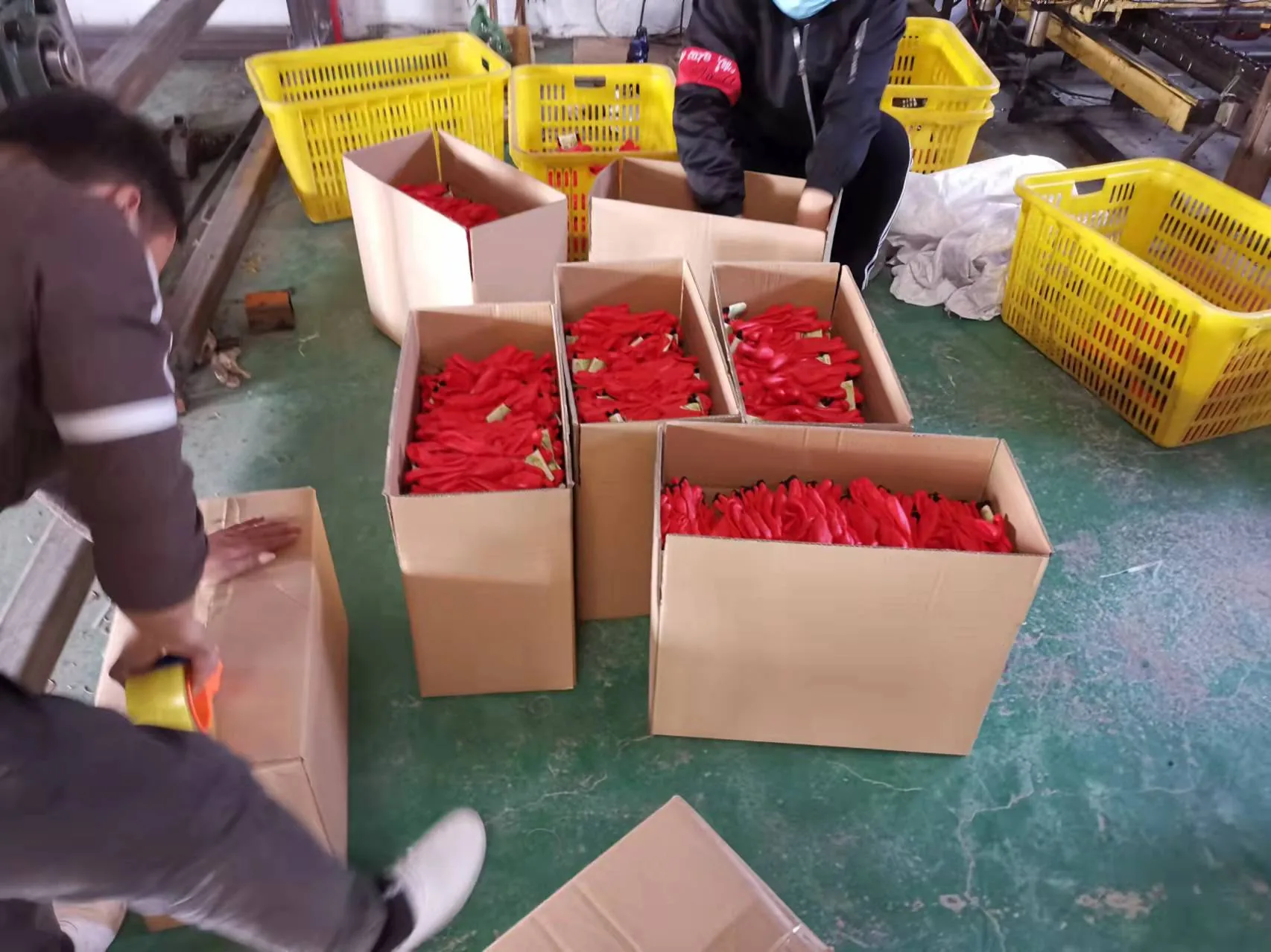 Work gloves being packed into cartons